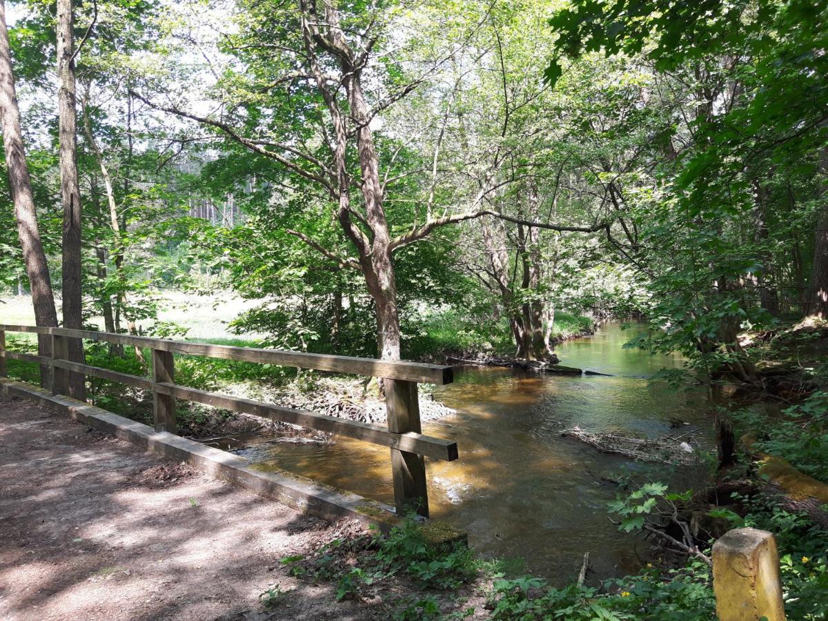 Mazury Domek Caloroczny Pelnik Gm Ostroda Jezioro Las Exterior foto